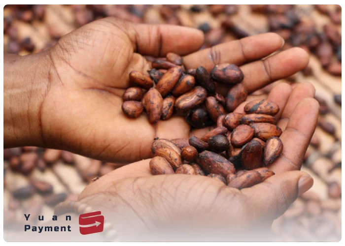 مزایای واردات قهوه از چین